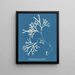Fucus vesiculosus var. linéaire - Anna Atkins — inramlat konstverk på väggen