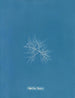 C'est à toi - Anna Atkins | Målning — vy av konstverket