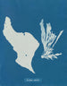 Du äter regnbågar - Anna Atkins — vy av konstverket