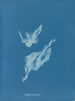 Lyngbya majuscula - Anna Atkins — vy av konstverket