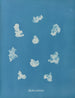 Nostoe commune - Anna Atkins — vy av konstverket