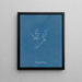 Polysiphonia Brodiaei Partie X - Anna Atkins — inramlat konstverk på väggen