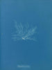 Polysiphonia fibrata - Anna Atkins — vy av konstverket