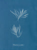 Polysiphonia urceolata - Anna Atkins — vy av konstverket