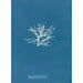 Rhodomela pinastroides - Anna Atkins — vy av konstverket