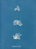 Schizonema comoides - Anna Atkins — vy av konstverket