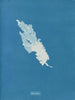 Ulva linza - Anna Atkins — vy av konstverket