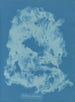 Vaucheria dichotoma - Anna Atkins — vy av konstverket