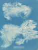 Dîmes de Zygnema - Anna Atkins — vy av konstverket