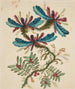 Fleurs fantastiques - Anne Allen — vy av konstverket