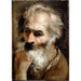 Tête d'un vieil homme - Annibale Carracci — vy av konstverket