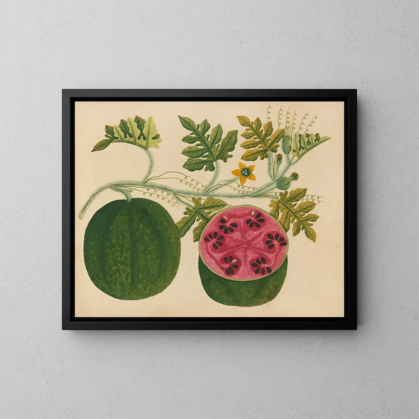 Album de aquarelles de fruits et fleurs asiatiques Pl29 - Anonyme — inramlat konstverk på väggen