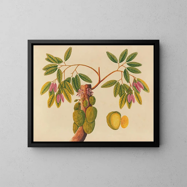 Album de aquarelles de fruits et fleurs asiatiques Pl38 - Anonyme — inramlat konstverk på väggen