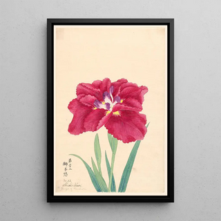 Anonymous - Anger of the Lion ShishiIkari.webp