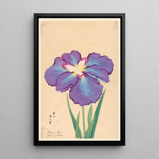 Anonymous - Band of Clouds Kumo no Obi.webp