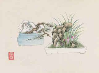 Anonymous - Bonsai kabenzu Pl25.webp