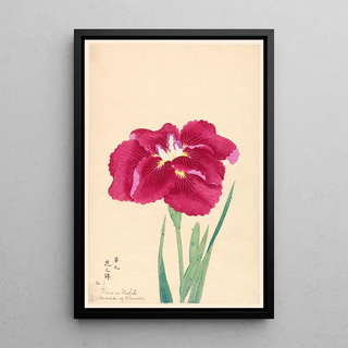 Anonymous - Brocade of Flowers Hana no Nishiki.webp