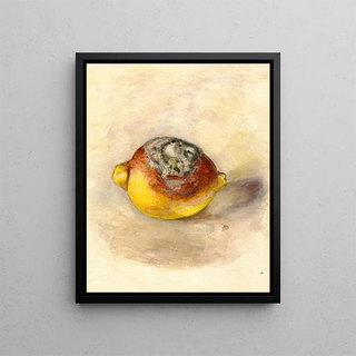 Anonymous - Citrus limon.webp