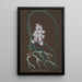 Collection d'orchidées Pl37 - Anonym — vy av konstverket