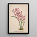 Reproduktion av målningen Collection d'orchidées Pl41 - Anonym