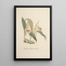Reproduktion av målningen Collection d'orchidées Pl69 - Anonym