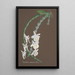 Collection d'orchidées Pl76 - Anonym — vy av konstverket