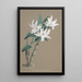 Reproduktion av målningen Collection d'orchidées Pl89 - Anonym