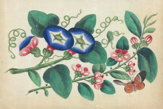 Anonymous - Flowers with butterfly.webp