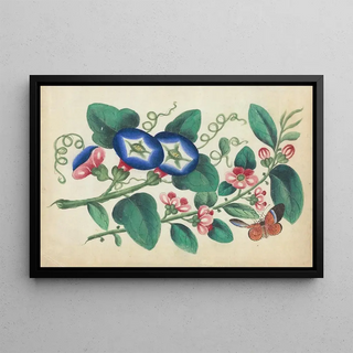 Anonymous - Flowers with butterfly.webp