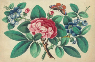 Anonymous - Large red flower blue flowers butterfly.webp
