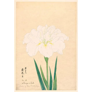 Anonymous - Moon of the Frosty Night Shimoyo no Tsuki.webp