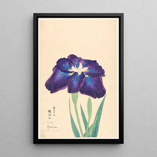 Anonymous - Mt Kyodai Kyodaisan.webp