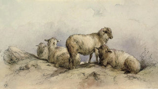 Anonymous - Sheep in a landscape.webp