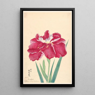 Anonymous - Wings of the Lightning Geischoni.webp