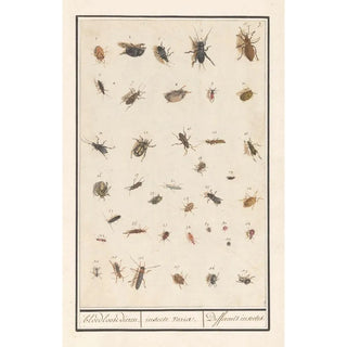 Anselmus Botius de Boodt - Blad met negenendertig insecten bloedloose dieren insecte variae Differents insectes.webp
