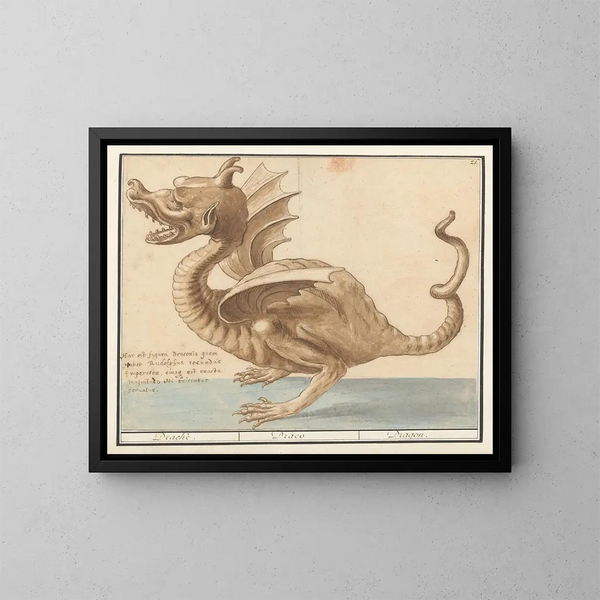 Dragon - Anselmus Botius de Boodt — inramlat konstverk på väggen