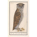 Liten uggla Otus scops uggla medel-uggla Asio otus - Anselmus Botius de Boodt — vy av konstverket