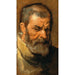 Tête d'homme barbu - Antoine van Dyck — vy av konstverket