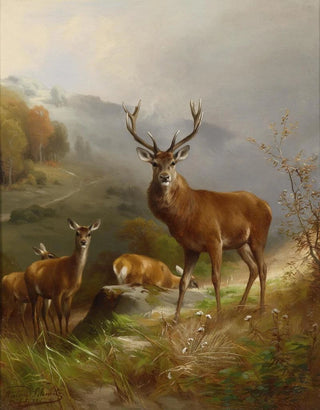 Anton Schmitz - Rotwild.webp