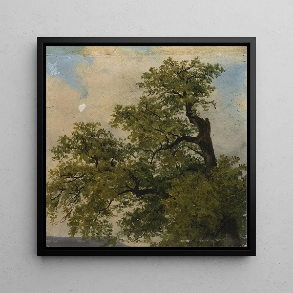 Arbres - Julius Schoppe