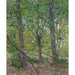 Reproduktion av målningen Träd - Vincent van Gogh