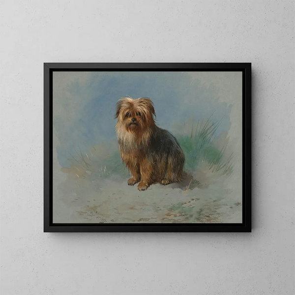En Norfolkterrier - Archibald Thorburn — inramlat konstverk på väggen