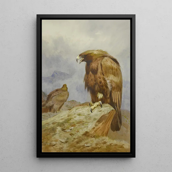 ett par kungliga örnar - Archibald Thorburn — inramlat konstverk på väggen