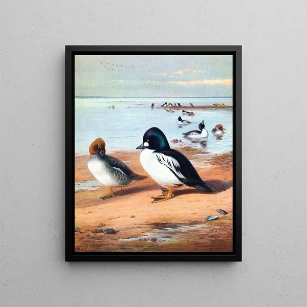 Œil d'or - Archibald Thorburn — inramlat konstverk på väggen