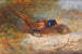 Fasaner - Archibald Thorburn — vy av konstverket