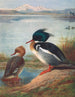 Harle huppé - Archibald Thorburn — vy av konstverket