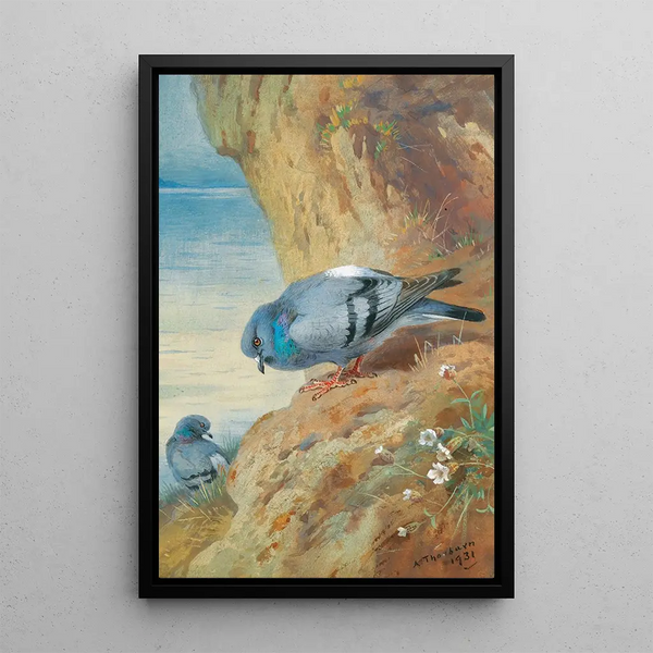 Pigeons bisets - Archibald Thorburn — inramlat konstverk på väggen