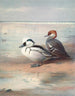 Smew - Archibald Thorburn — vy av konstverket