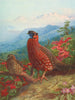 Le Satyre tragopan - Archibald Thorburn — vy av konstverket