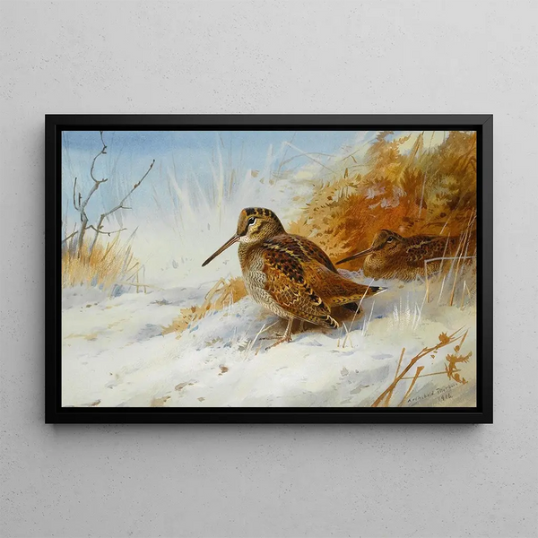 Bécasse d'hiver - Archibald Thorburn — inramlat konstverk på väggen